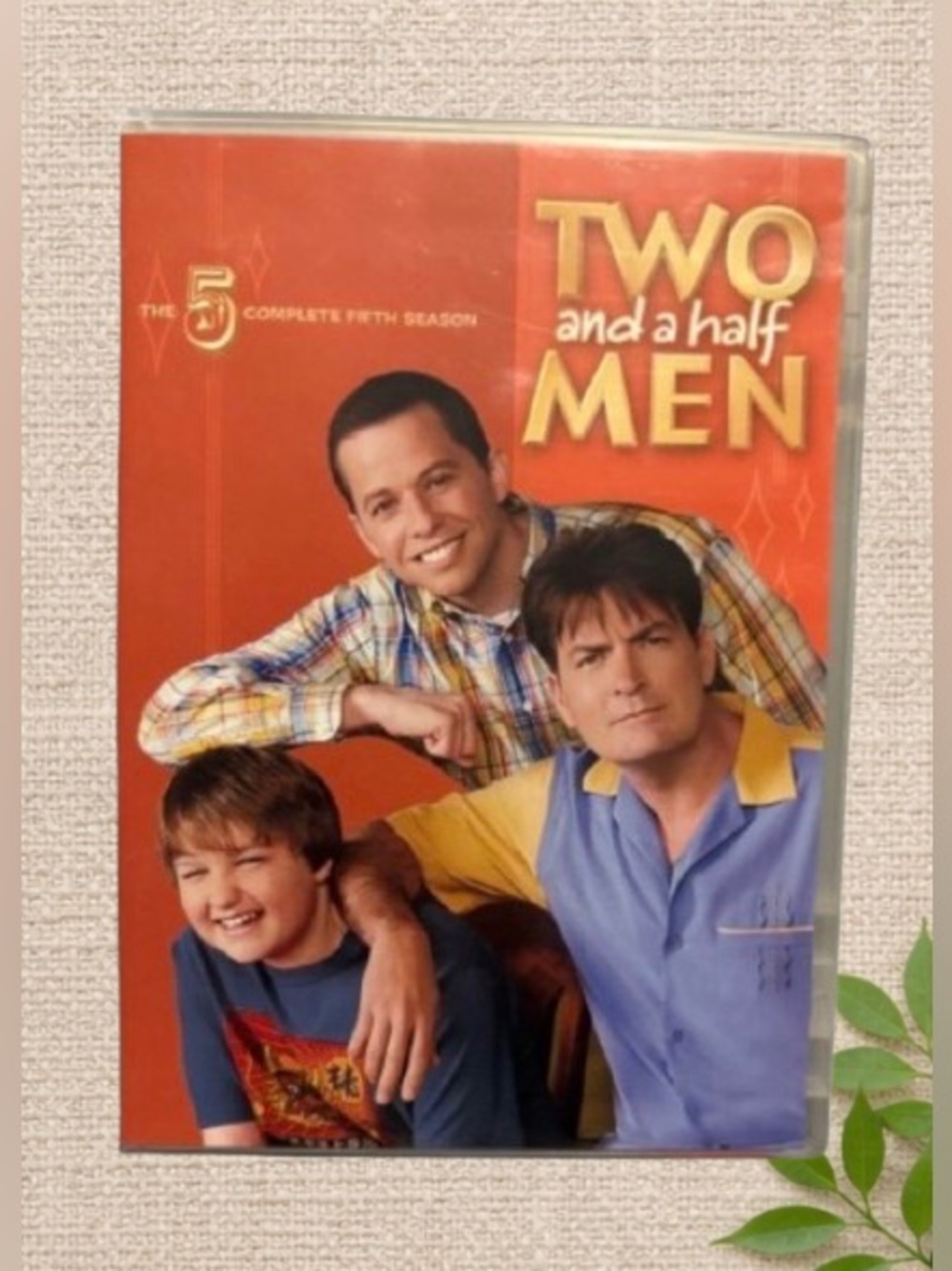📀 Two and a Half Men – The Complete Fifth Season (DVD)